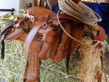 Saddle Decoration